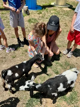 A child and an adult crouching to greet three spotted goats at a farm event