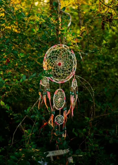 A pink dreamcatcher hanging among the pine branches