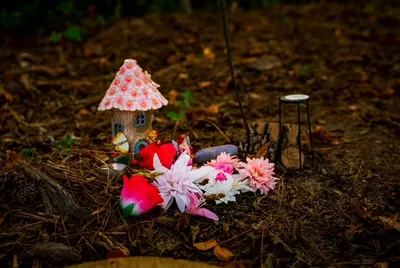 A tiny fairy house with a spotted pink roof surrounded by flowers on the woodland floor