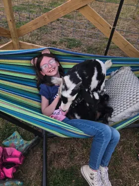 A child laughing in a striped hammock with two goats curled up alongside